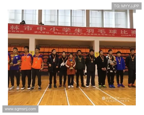 南京羽毛球队个人能力分析与发展策略探讨