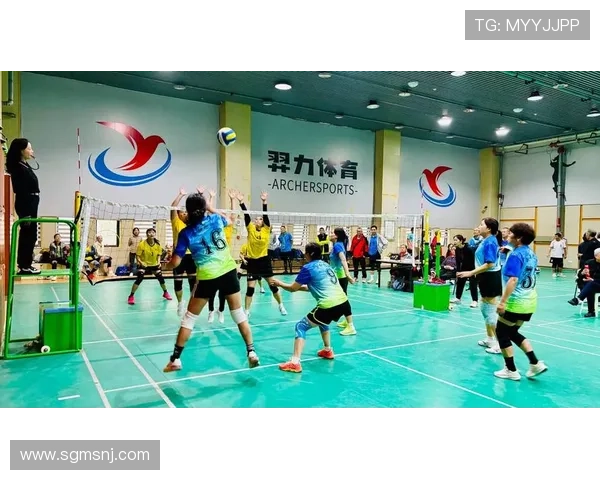 广州排球队的精神风貌与团队意识深度剖析